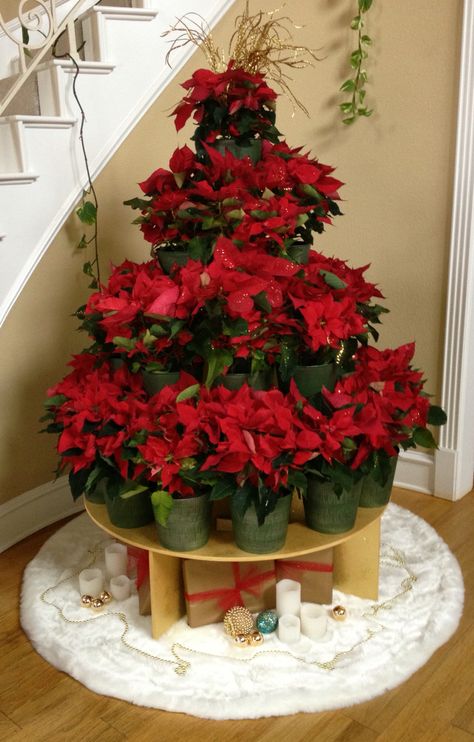 Unusual Christmas tree made from a wooden display and poinsettias. Poinsettia Tree Stand, Poinsettias On Christmas Tree, Poinsettia Display Ideas, Pointsetta Christmas Decor, Pointsetta Christmas Tree, Flower Decorations Ideas, Poinsettia Display, Christmas Altar, Bunco Rules