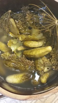 Chefs and Food: Old Fashioned Polish Crock Pickles Kroketten Recipe, Fermenting Crock Recipes, Canning Pickles Recipe, Crock Meals, Dill Pickle Recipe, Pickles Recipe, Fermentation Crock, Canning Pickles, Fermented Pickles