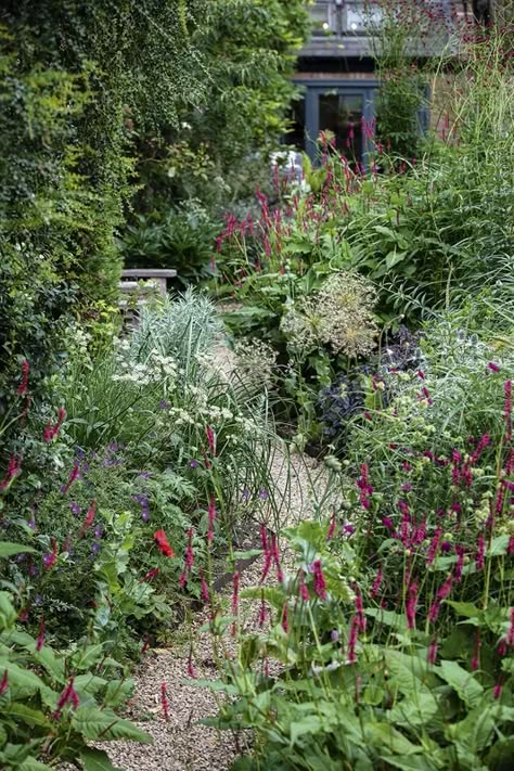 Small Wild Garden, Tiny Garden Design, Narrow Garden Ideas, City Garden Ideas, Gravel Gardens, Mums Garden, Gardens Illustrated, Contemporary Gardens, Colourful Garden