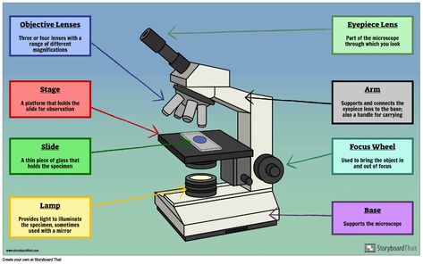 Labelled Microscope with Functions Microscope Worksheet, Simple Microscope Diagram, How To Use A Microscope, Architecture Toy, Microscope Parts And Functions, Parts Of Microscope And Its Function, Microscope And Its Parts, Focus Wheel, Microscope Parts