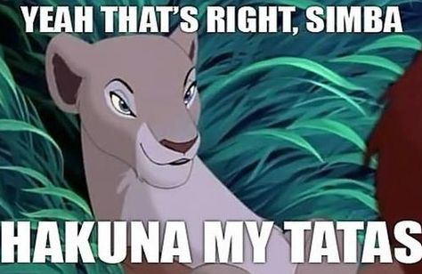 I feel slightly bad for laughing...slightly. Right In The Childhood, Disney Songs, My Funny Valentine, Disney Memes, Have A Laugh, The Lion King, Disney Films, E Card, Disney Funny