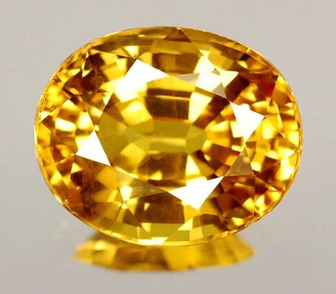 Oval Cut Yellow Sapphire Fancy Sapphire, Fashion Angels, Yellow Gemstones, Ruby Pendant, Minerals And Gemstones, Price Range, Real Stone, Sapphire Stone, Precious Gems