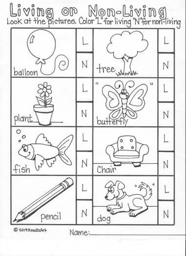 Living/NonLiving Worksheets by NoodlzArt | TPT Living Things Activities Preschool, Living Vs Nonliving Kindergarten, Living And Nonliving Worksheet, Living Things Worksheet Kindergarten, Living And Nonliving Kindergarten, Living And Non Living Things Worksheets, Ra Activities, Non Living Things, April Lesson Plans