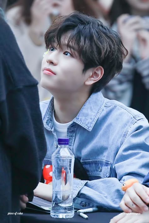 Seungmin fansign Seungmin best Seungmin blue Seungmin eyes Seungmin Eyes, Seungmin Puppy, I Love You Puppy, Eye Smile, Children Sketch, Seungmin In The Building, Best Puppies, Pretty Angel, Adorable Puppy