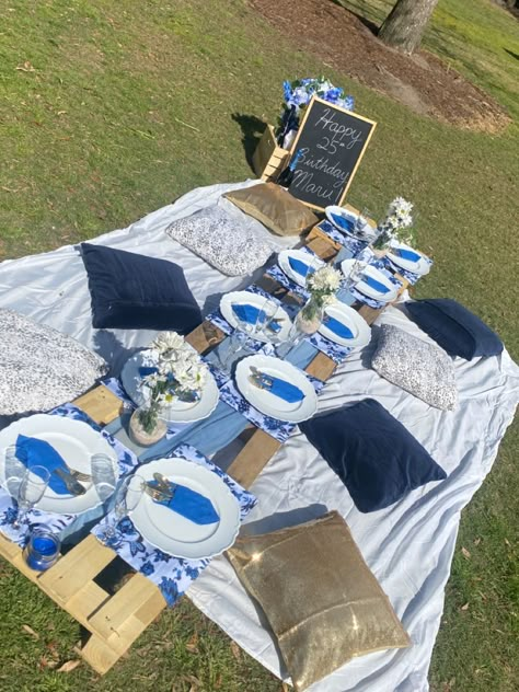 Blue Birthday Picnic, Pastel Blue Sweet 16, Picnic Blue Aesthetic, Fifty Shades Of Blue Party, Blue Themed Brunch, Blue Theme Picnic, Blue Picnic Theme Party, Picnic Style Birthday Party, Blue Picnic Aesthetic