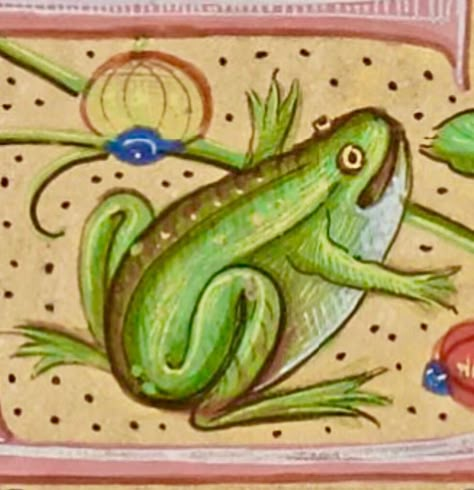 Medieval Frog, Medieval Creatures, Middle Ages Art, Medieval Illustration, Medieval Marginalia, Medieval Animals, Medieval Bestiary, Medieval Drawings, Medieval Illumination