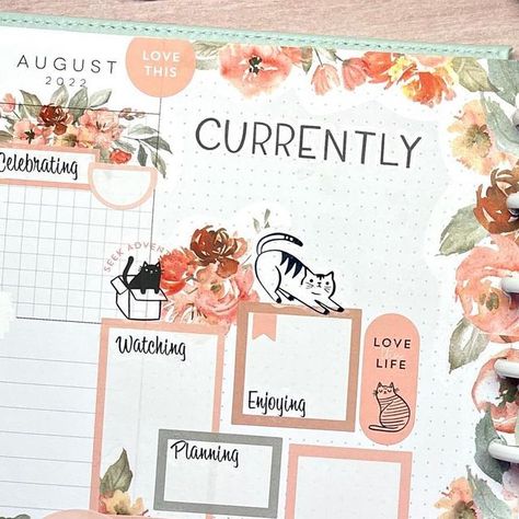 Amanda on Instagram: "Another cat spread for the currently page in my catch all Happy Planner! 🐱 #planwithme on YouTube now! Link in bio. Sticker books used: @kellofaplan Watercolor Boxes & Florals @anabeanonamission Florals Vol. 1 @the_happy_planner Modern Meow #happyplanner #thehappyplanner #planneraddict #happyplannerstickers #plannerbabe #plannercommunity #the_happy_planner #plannerspread #iamahappyplanner #discboundplanner #happyplanners #happyplannerstickerbooks #mambi #meandmybigideas #planner #embracethediscs #happyplannerlayout #plannerlove #plannercommunity #happyplannercommunity #beforethepenspread #beforethepen #plannermom #planner #plannerlife #happyplanning #plannerbabesofig #classichappyplanner #currentlypage #happyplannercurrentlypage" Currently Planner Page, Happy Planner Currently Page Ideas, Happy Planner Monthly Layout Ideas, Planner Monthly Layout, Discbound Planner, Planner Spreads, Happy Planner Layout, Planner Layouts, Sticker Books