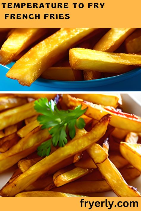 #Frenchfries #crispyfries #cookingtips. France Fry, Crispy Fries, Crispy French Fries, Crispy Fry, Why Read, Deep Fryer, Cooking Temperatures, French Fries, Dipping Sauce