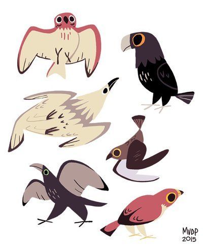 Bird Anatomy, Animal Character Design, Posca Art, 강아지 그림, Anatomy Sketches, Kinds Of Birds, Animal Character, 캐릭터 드로�잉, Animal Sketches