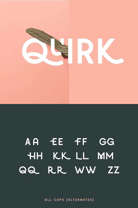 Quirk - Fun Display Font Graphics Template, Display Font, Serif Font, Serif Fonts, Cool Fonts, Wordpress Theme