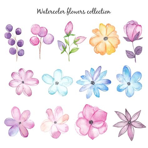 Watercolor flowers set Premium Vector | Premium Vector #Freepik #vector #watercolor-branch #botanical #watercolor-leaves #watercolor-plants Flower Drawing Tutorials, Watercolor Beginner, Graphic Illustrations, Easy Watercolor, Contemporary Designs, Botanical Flowers, Flower Illustration, Floral Illustrations, Watercolor Cards