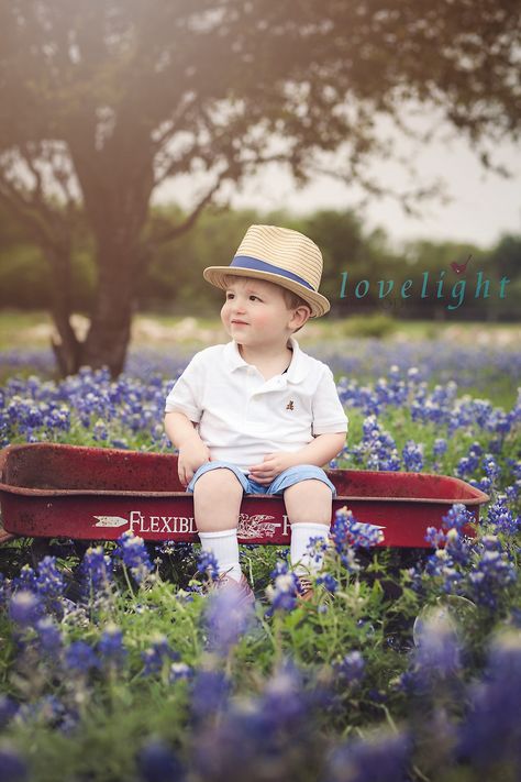 Bluebonnet Baby Pictures, Wildflower Mini Session, Bluebonnets Photoshoot, Bluebonnet Family Photos, Spring Photoshoot Ideas Mini Sessions, Blue Bonnet Photoshoot, Bluebonnet Photoshoot, Holiday Photo Session, Wildflowers Photography