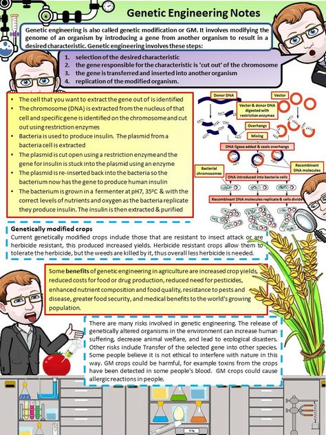 Flashcards Revision, Learn Biology, Biology Revision, Engineering Notes, Biology Classroom, Gcse Science, Biology Facts, Doodle Notes, Biology Lessons