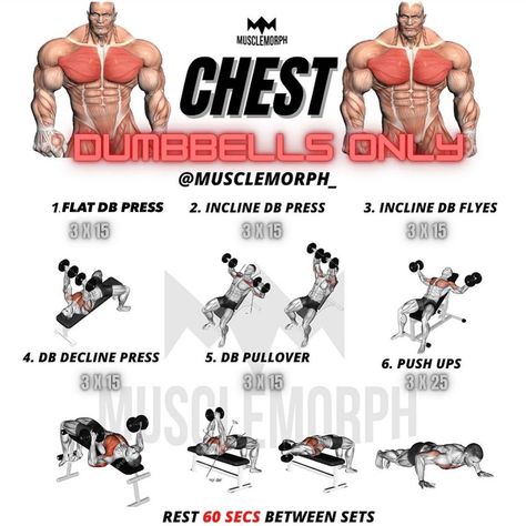 MuscleMorph® Supps | Workouts on Instagram: “🔥CHEST WORKOUT DUMBBELLS ONLY🔥by @musclemorph_ TAG a friend who will benefit from this post. SAVE 10% on all Musclemorph Supps with…” Chest Workout Dumbbells, Darbee Workout, Spartan Body, Dumbbell Workout Routine, Dumbbells Workout, Push Day Workout, Dumbbell Chest Workout, Chest And Tricep Workout, Dumbbell Only Workout