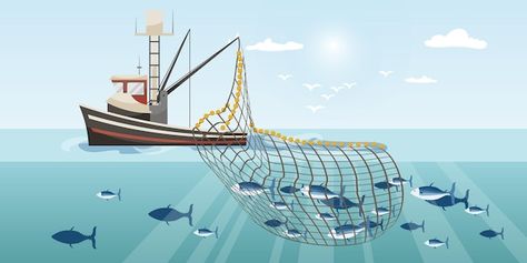 Vector commercial fishing ship with full... | Premium Vector #Freepik #vector #fishing-boat #fishery #maritime #marine Fishing Ship, Commercial Fishing, Boat Illustration, Fish Sticks, Fish Net, Fishing Net, Fishing Boat, Sea And Ocean, Stick It Out