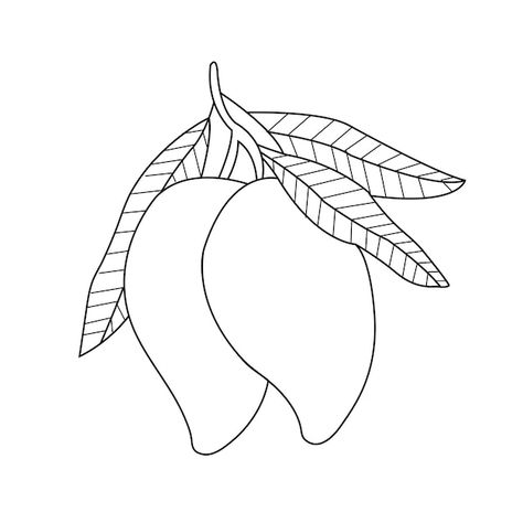 Mango Outline, Mango Drawings, Mango Drawing, Mango Images, Fruit Icons, Kids Worksheets, Kids Worksheets Preschool, Worksheets Preschool, Mango Fruit