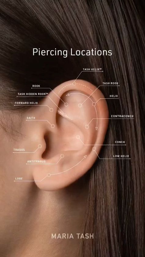 Next Piercing, Piercing Locations, Ear Piercings Chart, Piercing Chart, Double Ear Piercings, Eye Piercing, Types Of Ear Piercings, Pretty Ear Piercings, Face Piercings