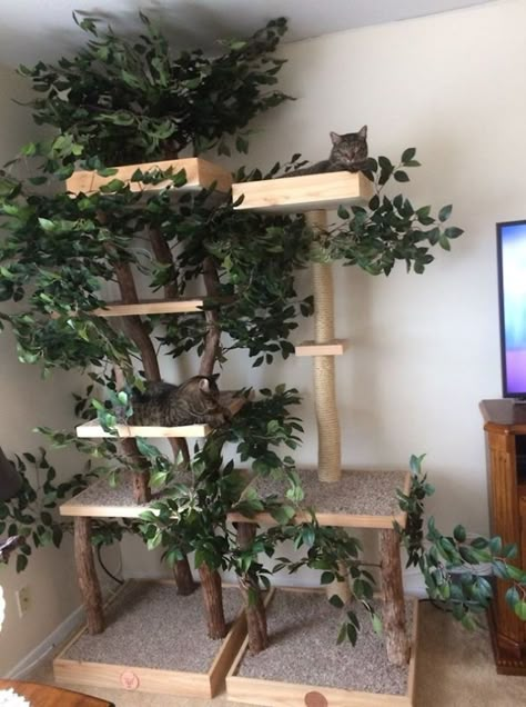 Indoor Cat Towers That Look Like Real Trees Are A Thing And They're Absolutely Beautiful | Bored Panda Katt Diy, Chat Diy, Cat Tree House, Diy Cat Tree, Cat Towers, Cat Playground, Astuces Diy, Söt Katt, Indoor Pets