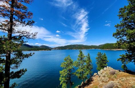 Black Hills National Forest - Pactola Reservoir Complex Group Camping, Area Activities, Us Forest Service, Forest Camp, Cabin Camping, Brown Trout, Rapid City, Pier Fishing, Forest Service