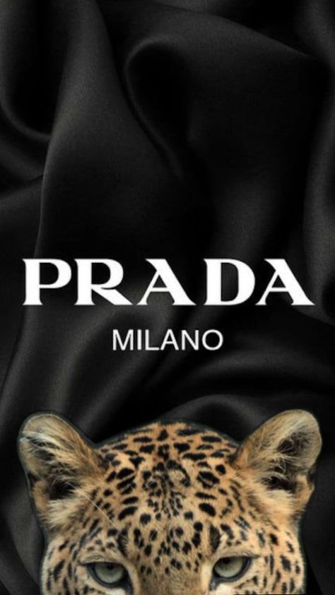 Prada Aesthetic Wallpaper, Prada Aesthetic, Aesthetic Rooms, Aesthetic Wallpapers, Prada