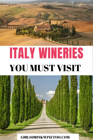 Planning a trip to Italy? Here are the top Italy wineries to visit on your Italian escape. There are over 310,000 wineries across Italy, to choose from. Here are the top 11 to visit. Italy wineries| Italy winery| winery in Italy winery italy| Italian vineyards| vineyard italy| vineyards in italy| vineyards italy| vineyards of Italy | |best Italian wineries Italy vineyard || vineyard in Italy Vineyard In Italy, Walks Of Italy, Tenuta Torciano Winery, Vineyards In Italy, Vineyards In Tuscany Italy, Montaione Italy, Winery Italy, Florence Italy Vineyards, Italian Wineries