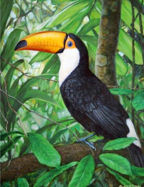 pinturas-de-paisajes-decorativos-con-aves Tropical Painting, Tropical Bird, Bird Pattern, Tropical Art, Exotic Birds, Bird Pictures, Tropical Birds, Birds Tattoo, Arte Animal