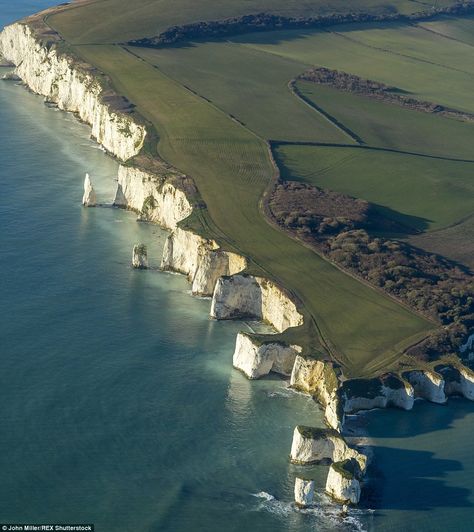 Top walk: Old Harry Rocks on the Isle of Purbeck, Dorset, has been named the best coastal walk in a list compiled by the National Trust White Cliffs, Seven Sisters, National Trust, The Isle, Nature Landscape, Beautiful Places To Visit, The Coast, Amazing Nature, Beautiful World