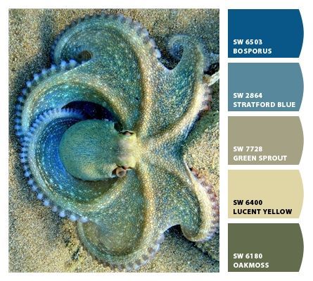 Ocean blues and greens octopus color palette Ocean Colours Palette, Octopus Color Palette, Marine Moodboard, Alien Color Palette, Ocean Colour Palette, Octopus Mosaic, Idoneth Deepkin, Ocean Color Palette, Islamic Interior