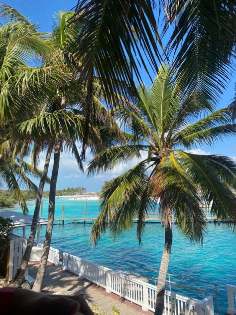 Bahamas Beach Aesthetic, The Bahamas Aesthetic, Build A Dock, Balcony Off Master, Bahamas Photography, Bahamas Aesthetic, Building A Dock, Bahamas Beach, Clear Ocean