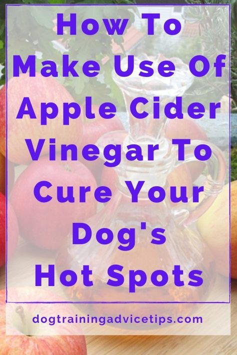 Apple cider vinegar can help stop hot spots in dogs. Learn how to use it safely and effectively with these dog training | #Apple_Cider_Vinegar_Dogs #Apple_Cider_Vinger #Dog_Science #Dog_Hot_Spots Apple Cider Vinegar Dogs, Dog Allergies Remedies, Dog Training Treats Recipe, Dog Science, Dog Hot Spots, Best Treats For Dogs, Pet Items, Spotted Dog, Dog Training Treats