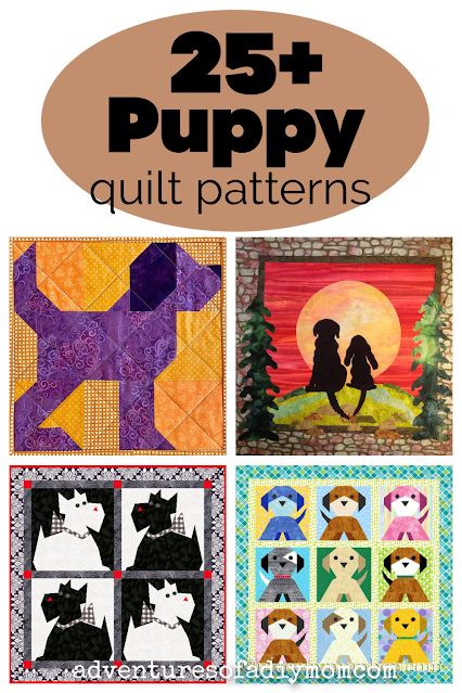 Make a darling dog quilt with over 25 dog quilt patterns to choose from. Dog Quilts Ideas, Dog Template Printable Free Pattern, Dog Quilt Blocks, Dog Quilt Patterns Free, Scottie Dog Quilt Pattern, Dog Quilt Patterns, Dog Template, Cat Quilt Patterns, Dog Sewing Patterns