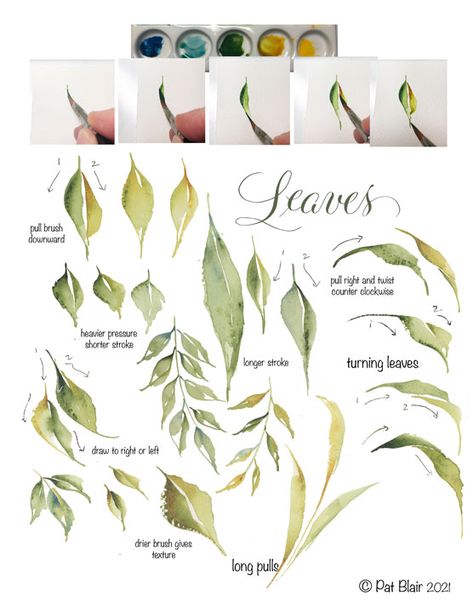 Watercolor Moss, Wedge Brush Watercolor, Triangle Brush Watercolor, Botanical Watercolor Tutorial, Plants Watercolor, Watercolor Leaves Tutorial, Leaves Watercolor, Watercolor Exercises, Brush Drawing