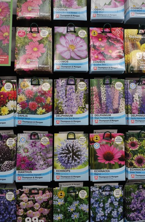 12 Flower Seeds To Sow Indoors Before Spring Starting Flowers From Seeds, Planting Flowers From Seeds, When To Plant Seeds, Oasis Garden, Planting Seeds Indoors, Tools Tattoo, Flower Seedlings, Seed Starting Mix, Starting Seeds Indoors