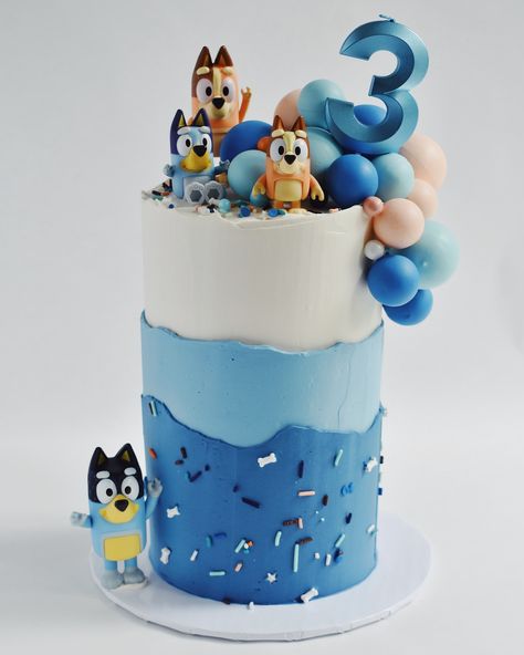 Custom bluey kids cake Bluey Cake Ideas Smash Cake, Bluey Cake Ideas, Bluey Birthday Cake, Llama Cake, Beach Theme Birthday, Bluey Party, Bluey Birthday, 3rd Birthday Cakes, Mud Cake