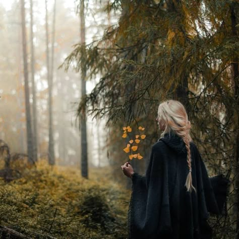 Jonna Jinton, Era Victoria, East Of The Sun, Fantasy Magic, Super Cat, Witch Aesthetic, Nature Tree, Green Witch, Autumn Forest