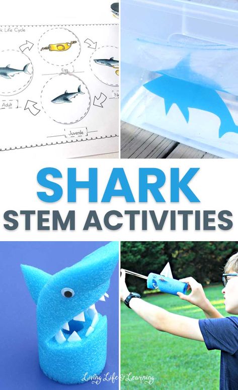 Ocean Stem Activities, Stem Activities For Preschoolers, Ocean Animals Preschool, Shark Activities, Kids Stem Activities, Stem Activities For Kids, Shark Games, Preschool Activity Books, Shark Craft