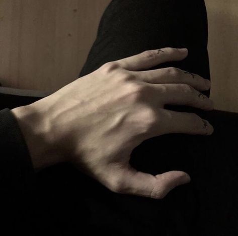 Darius Acrux Zodiac Academy, Regulus Black Aesthetic, Hand Refs, Hand Veins, Veiny Hands, Hands Icon, Hot Hands, Zodiac Academy, Aesthetic Grunge Outfit