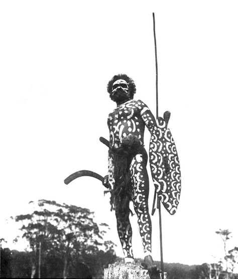 Dunghutti (?) warrior and hunter in ceremonial body paint with shield, boomerangs, spear thrower and spear from around Port Macquarie, NSW, circa. 1905.  We have been getting requests for help to track down certain photos from certain areas, tribes and clans and we're always happy to see what we can come up with if you give us enough information to go by.  Our ancestors whether they were Dunghutti, Tiwi, Yolngu, Yorta Yorta, Italian, Scottish, Irish, Chinese, Greek, Egyptian or any combination o Throwing Spear, Stone Age People, Spear Thrower, Indigenous History, Aboriginal History, Port Macquarie, Abstract Cloud, Aboriginal Culture, Aboriginal People