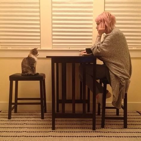 Having “the” talk. by #Edrac by #Carde with love to #cats! She And Her Cat, Pets 3, Cat Boarding, Cat People, Small Cat, Cat Person, Cute Cats And Kittens, The Talk, I Love Cats