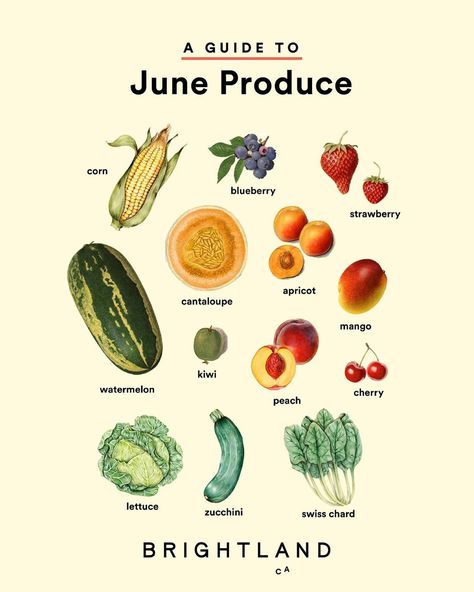 June Produce In Season, June Seasonal Produce, June Foods In Season, June Produce, Seasonal Produce Guide, Summer Eats, Seasonal Eating, Homestead Life, Summer Produce