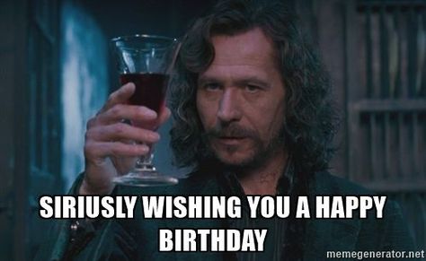 Happy Birthday Harry Potter, Potter Head, Happy Birthday Quotes Funny, Happy Birthday Meme, Birthday Quotes Funny, Happy Birthday Fun, Harry Potter Birthday, Birthday Meme, Funny True Quotes