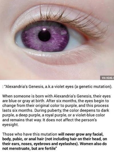 Alexandria Genesis, Violet Eyes, Gray Eyes, Purple Eyes, The More You Know, Awesome Things, Beautiful Eyes, Writing Tips, Mind Blown