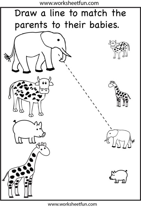 Animals and Preschool Worksheets Worksheet For Nursery Class, Oppgaver For Barn, February Activities, Toddler Worksheets, Activity Sheets For Kids, Free Preschool Worksheets, Printable Preschool Worksheets, Learning Worksheets, Fun Worksheets