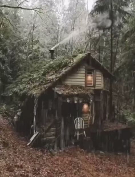 Moments & memories on Twitter: "Imagine being here right now… " Rainy Cabin, Rainy Fashion, Old Cabin, Forest Cottage, Forest Cabin, Crochet Aesthetic, Cottage In The Woods, Little Cabin, Dream Cottage