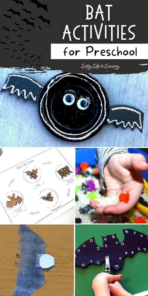 Bat Activities for Preschool Bats Crafts Preschool, Bat Activities For Kids, Bat Science, Facts About Bats, Bat Lessons, Bats Science, Bat Activities, Spiders Preschool, Bats Activities