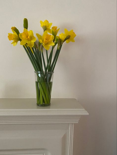 Vase Of Daffodils, Yellow Daffodils Aesthetic, Daffodils In Vase, Lindsay Core, Bouquet Of Daffodils, Daffodil Wedding, Daffodil Bouquet, March Baby, Flower Guide