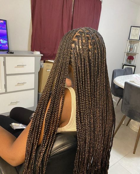 Brown Blend Knotless Braids, 4 30 Braids, Chocolate Box Braids, Winter Knotless Braids, Knowles’s Box Braids, Brown Mix Knotless Braids, Brown Medium Knotless Braids, Small Brown Knotless Braids, Black Braids With Brown Highlights