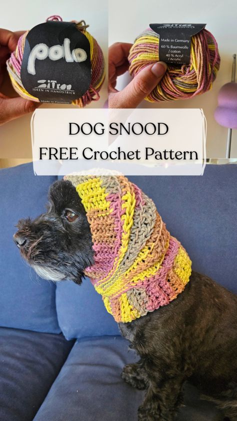 Dog Snood - Free Crochet Pattern Snood For Dogs Free Pattern, Crochet Snood For Dogs, Crochet Dog Clothes Free Pattern, Easy Pet Costumes, Dog Snood Crochet Pattern, Dog Beanie Pattern, Crochet Dog Hat Free Pattern, Dog Scarf Crochet, Diy Pet Costumes