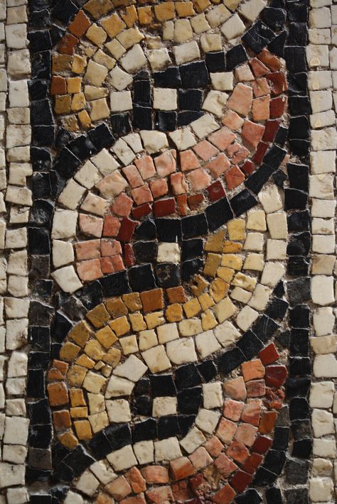 Mosaic Detail (Macro), Hatay Archaeology Museum, Turkey Roman Mosaic Art, Mosaic Pots, Roman Mosaic, Mosaic Art Projects, Mosaic Tile Art, Mosaic Pictures, Mosaic Garden, Mosaic Diy, Mosaic Projects