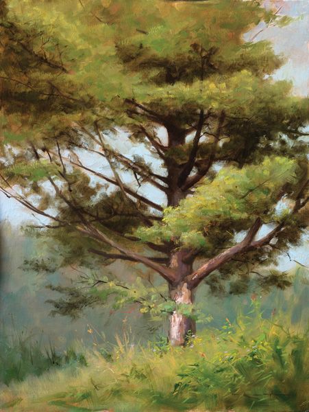 Art Thomas, Painting Trees, Tree Paintings, Contemporary Landscape Painting, Art Magazine, Forest Painting, Traditional Landscape, Southwest Art, Birch Trees